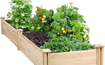 Best Wooden Raised Garden Beds of 2026: Top Picks Reviewed