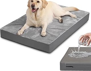 8 Best Pet-Friendly Outdoor Beds with Removable Covers