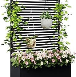 8 Best Vertical Wall Planters for Privacy Screening