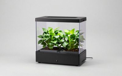 Best AeroGarden Hydroponic Systems for Fresh Herbs and Vegetables