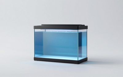 Best Aquariums for Every Room Size