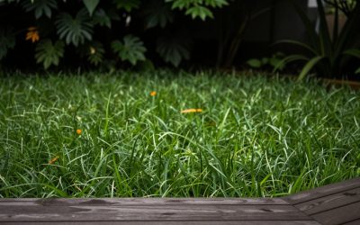 Best Fall Planters in 2026: Pots, Plants and Frost Tips