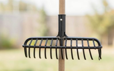 Best Garden Rakes in 2026: Leaf, Bow and Thatch Picks