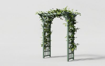 Best Garden Trellises and Arbors for Climbing Plants