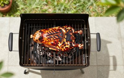 Best Outdoor Grills: Nine Listings Compared by Fuel, Size and Features