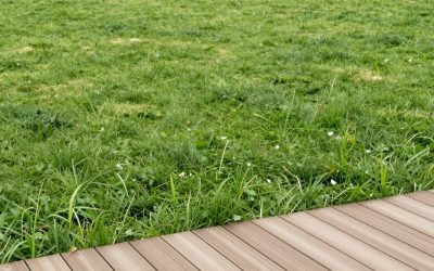 Best Sheds for Backyard Storage in 2026: Compared and Ranked