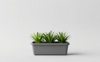 Best Window Box Planters for Flowers, Herbs, and Small Spaces