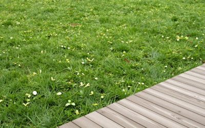 Best Zero Turn Mowers for Large Yards in 2026: Compared and Ranked