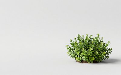 Front Yard Flower Garden Design: Layouts, Layers, and Plant Spacing