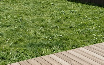 18 Front Yard Garden Bed Ideas for Every Style and Budget