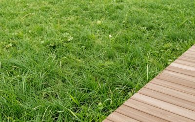 16 Front Yard Planter Box Ideas That Boost Curb Appeal