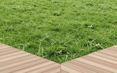 Front Yard Potted Plant Ideas: Easy Container Looks for Every Entryway