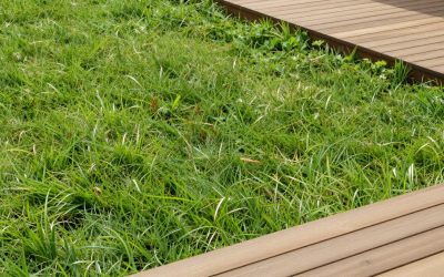 How to Clean Outdoor Planters (2026): Step-by-Step
