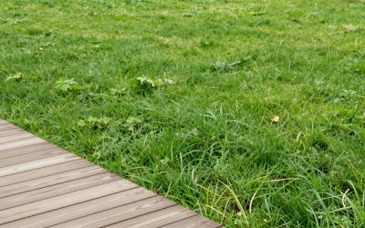 How to Install Raised Garden Beds (2026): Step-by-Step