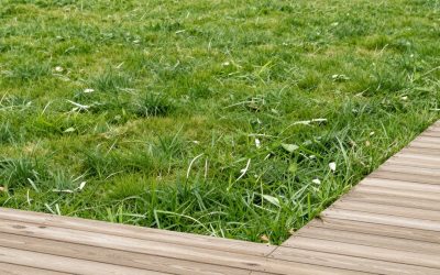 How to Keep Bugs Away From Patio Furniture (Without Ruining the Fabric)