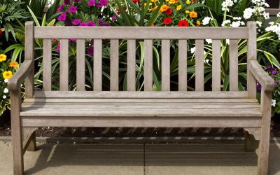 How to Protect Planters From Freezing (2026): Step-by-Step