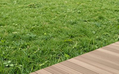 MZK 20V 13-Inch Electric Lawn Mower vs RB 40V 9 Mini Cordless Lawn: Which Should You Buy?