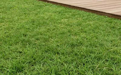 Small Front Yard Decorating Ideas: 12 Ways to Make a Tiny Space Feel Bigger