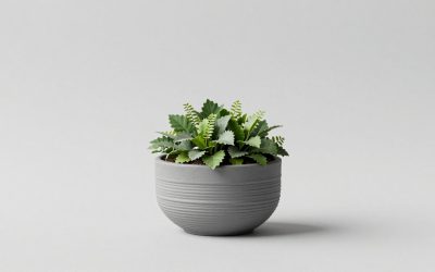 Terrace Garden Decoration Items: 11 Weatherproof Picks for Any Budget